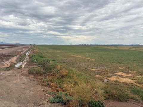 Tiny photo for 142 Water Toll Acres, Blythe, CA 92225 (MLS # 219154093DA)