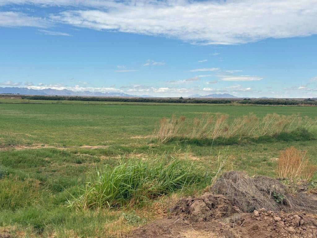 142 Water Toll Acres