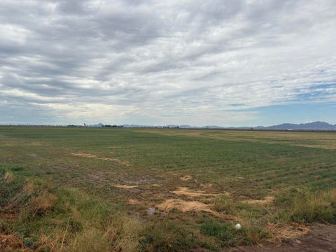 Tiny photo for 142 Water Toll Acres, Blythe, CA 92225 (MLS # 219154093DA)