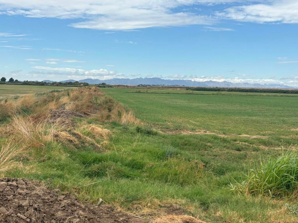 142 Water Toll Acres