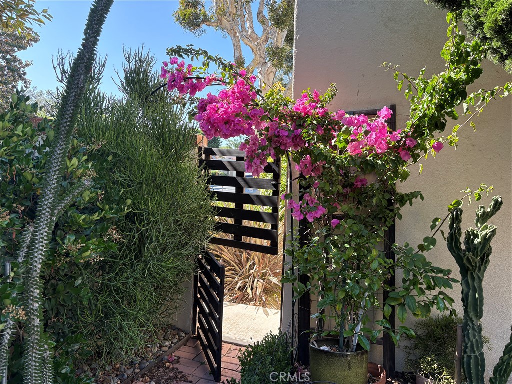 2214 Vista Hogar