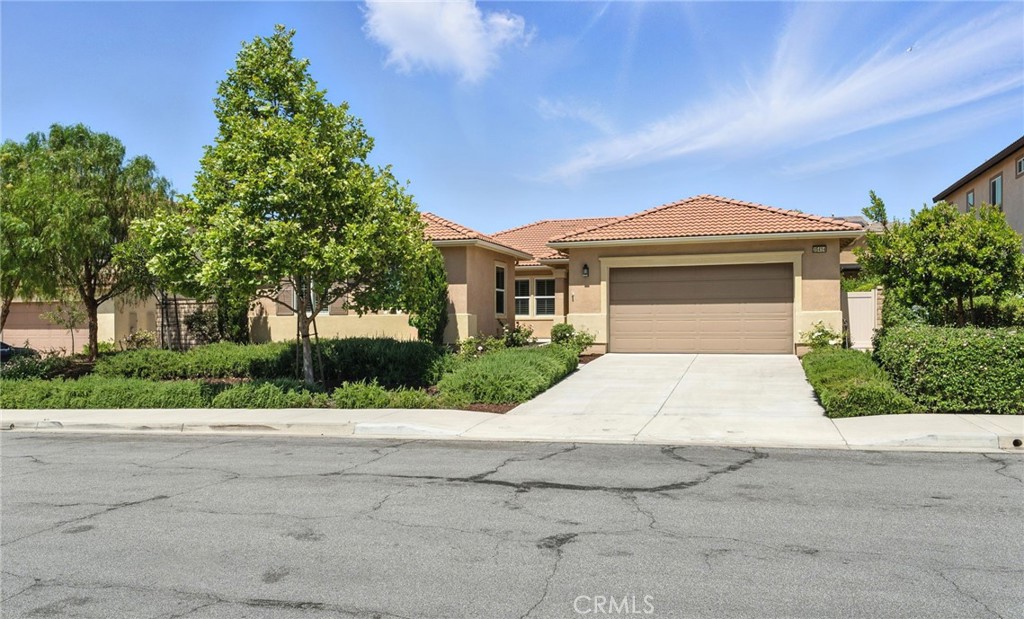 35414 Laurel Tree Court