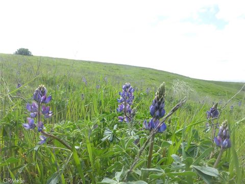 Tiny photo for 0 Yosemite Place, Paso Robles, CA 93446 (MLS # NS26030240)