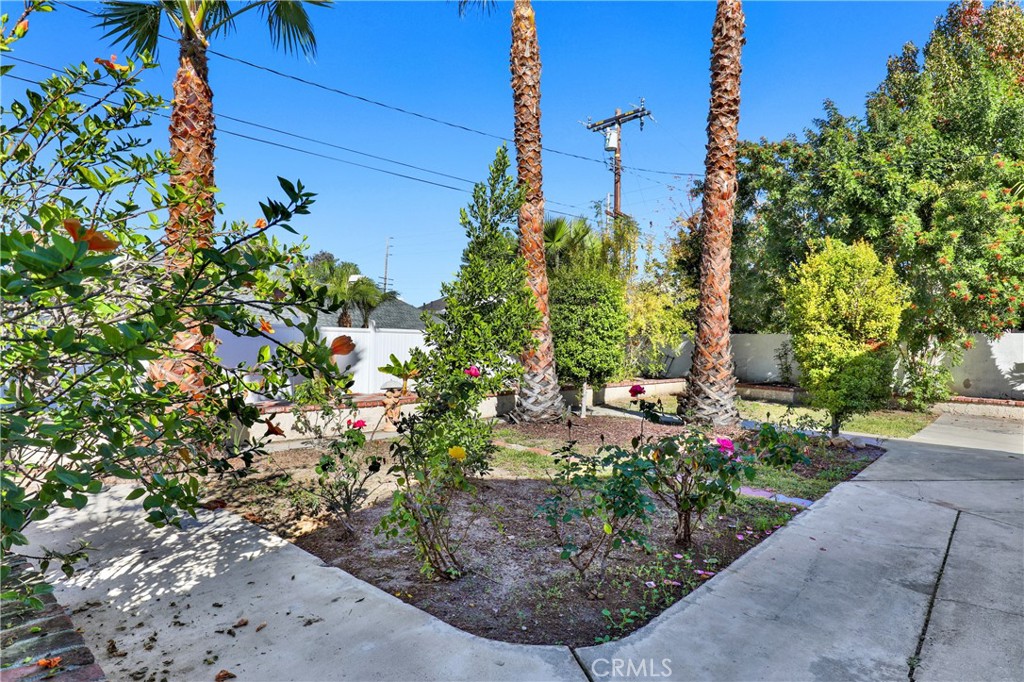 Other - Residential Lease