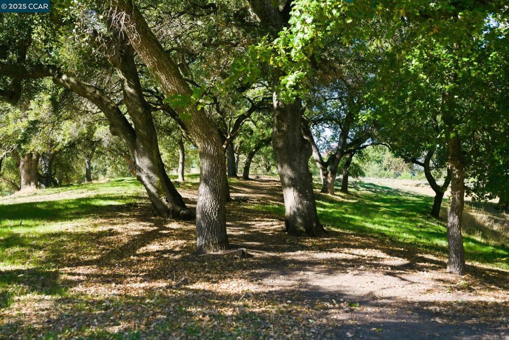 ROSSMOOR - Residential