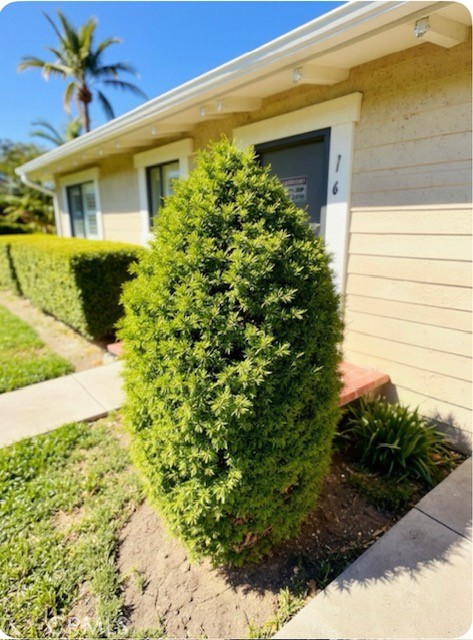 16 Flag Way C