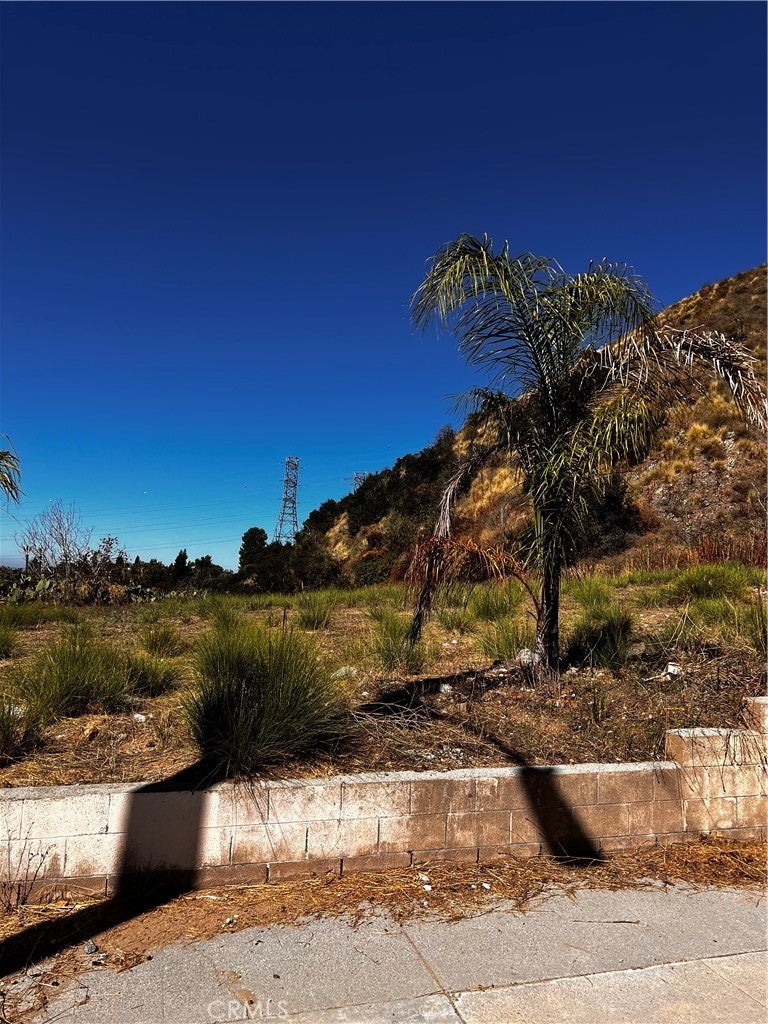 201 Mel Canyon