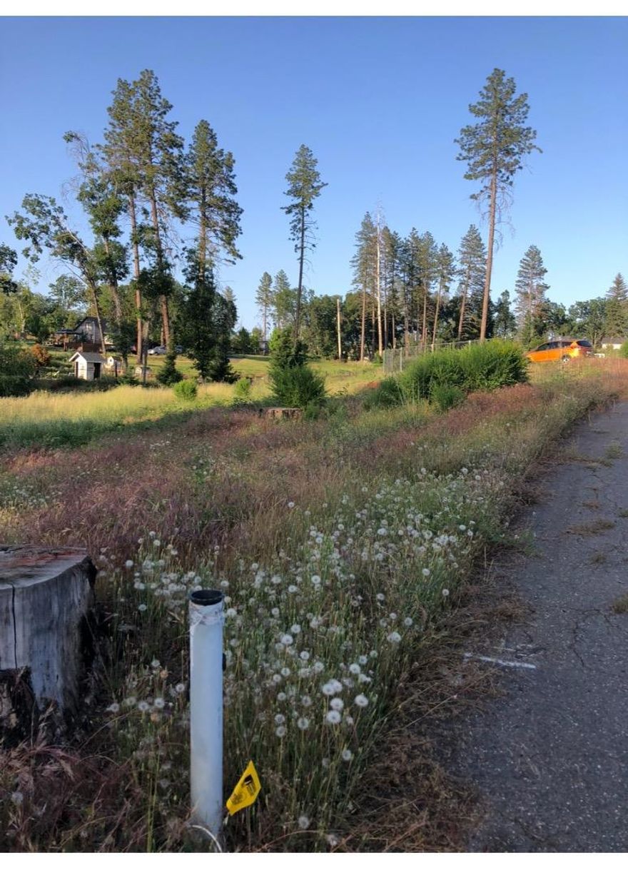 Beautiful lot right across the street from the entrance of Bille Park. There is a slight slop with a flat building pad at the top where the former house was. There is a large driveway that is intact. There is an active PID water account.