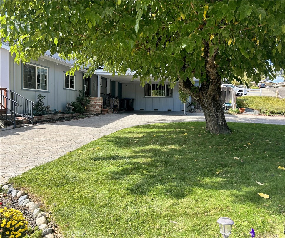 805 Anastasia Drive