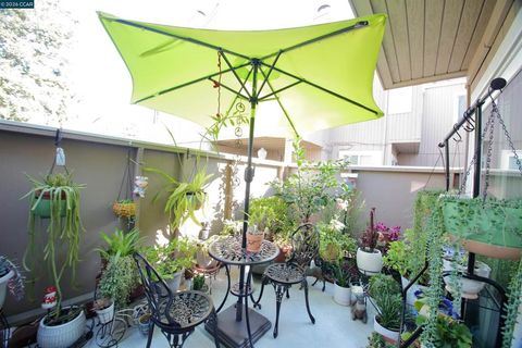 Tiny photo for 3901 3901 Clayton Rd Rd #25, Concord, CA 94521 (MLS # 41124770)