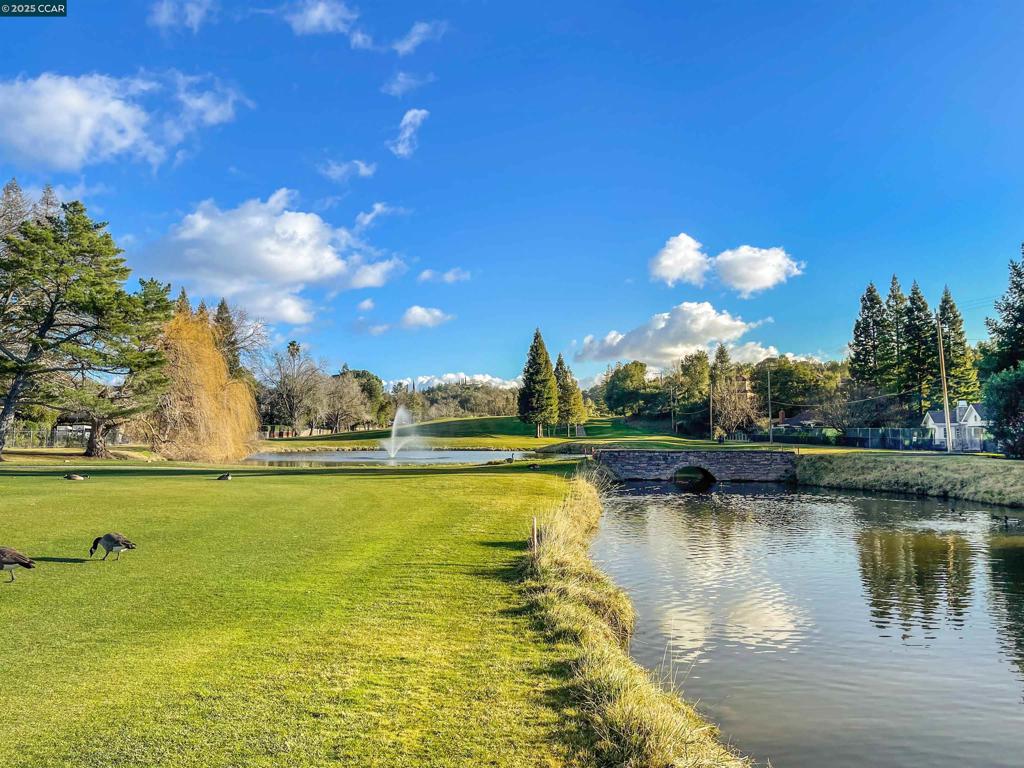 ROUNDHILL - Residential