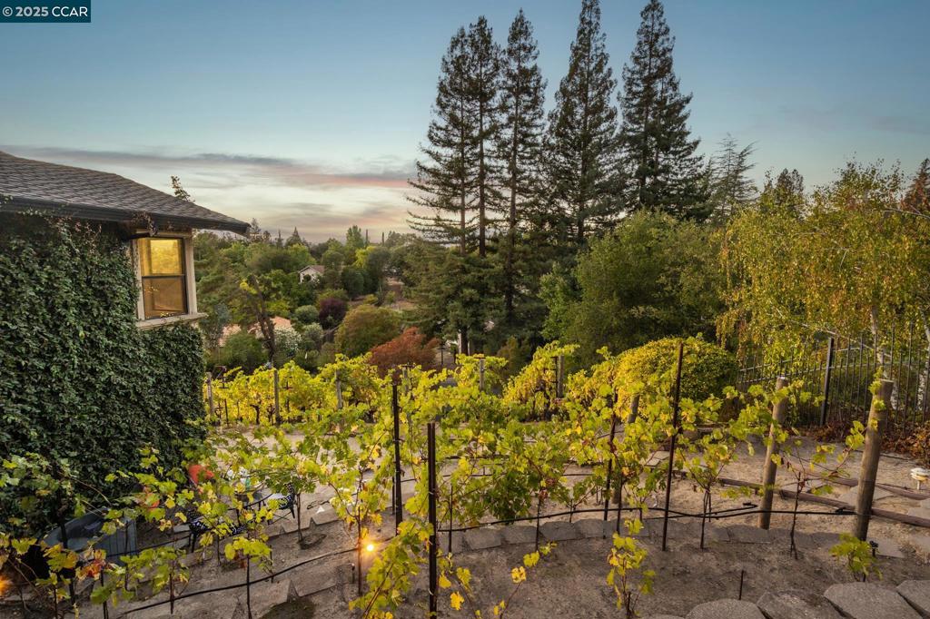 ROUNDHILL - Residential