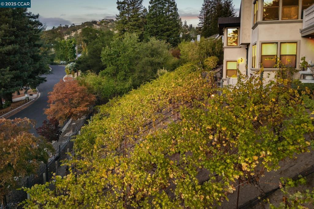 ROUNDHILL - Residential