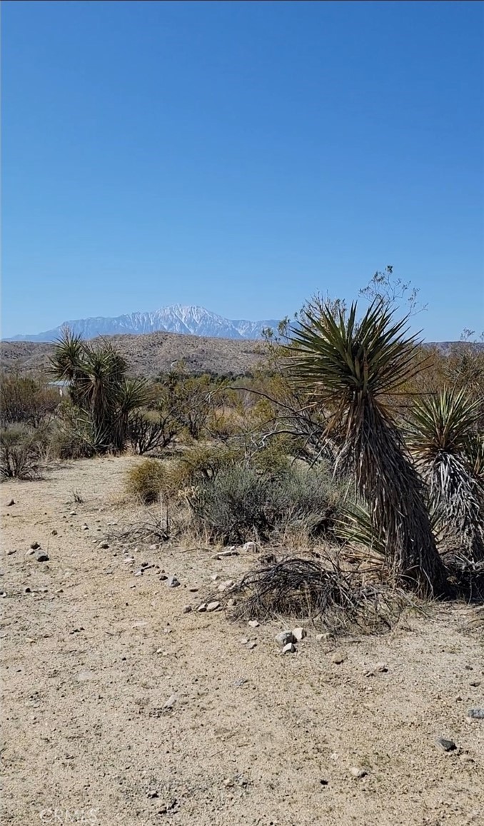 0 Palo Verde