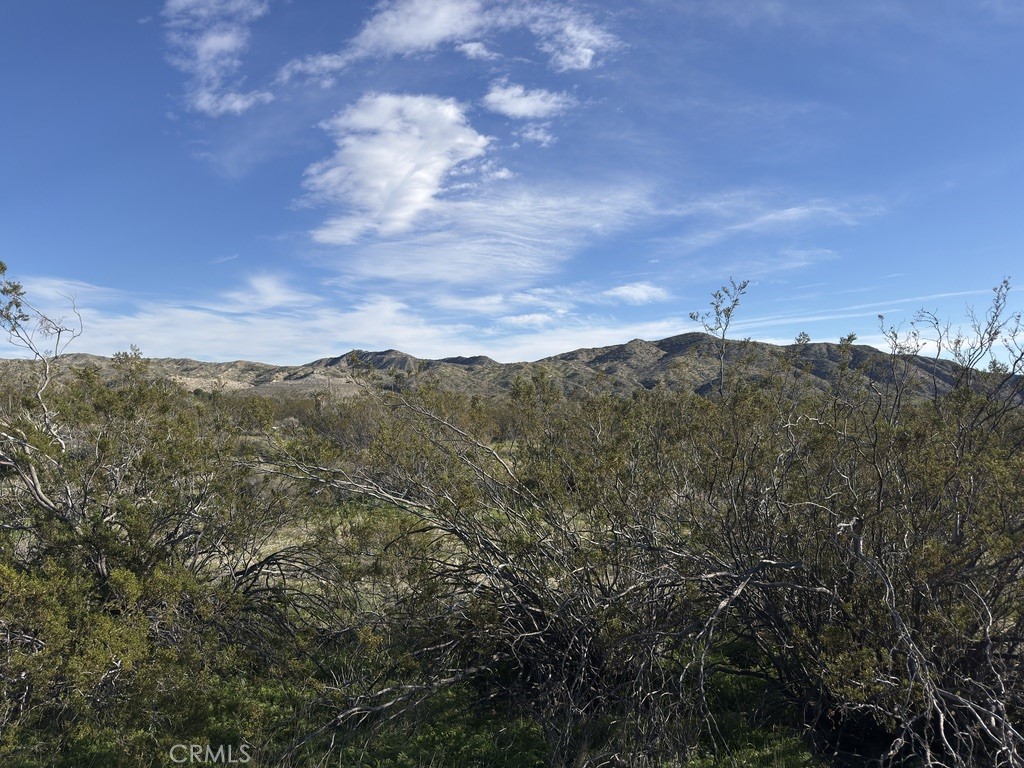 0 Palo Verde