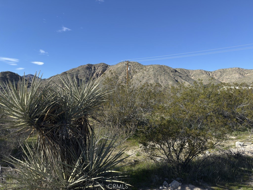 0 Palo Verde