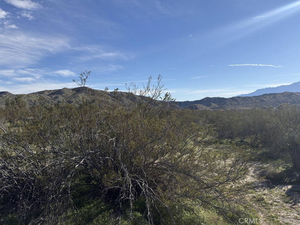 0 Palo Verde
