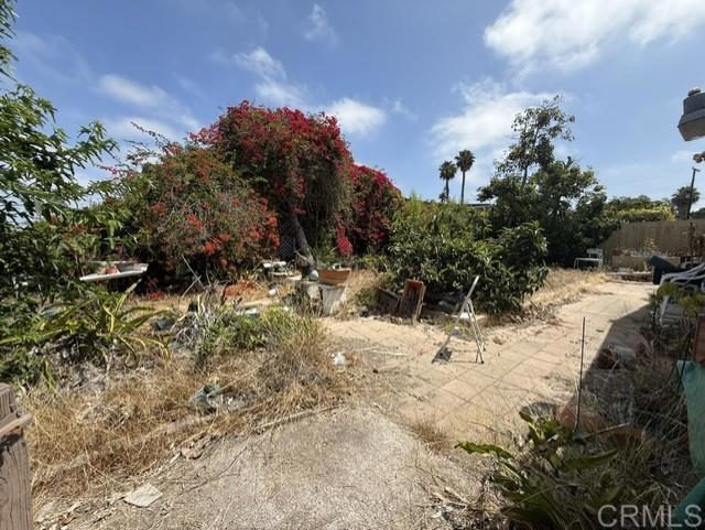 353 Montclair Street
