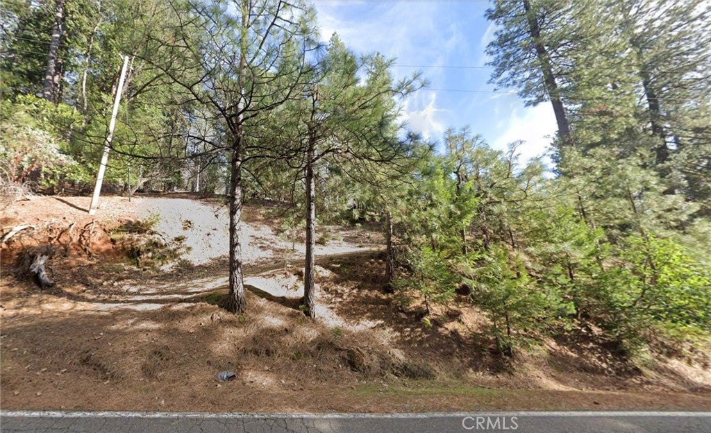 25465 E Meadow Drive