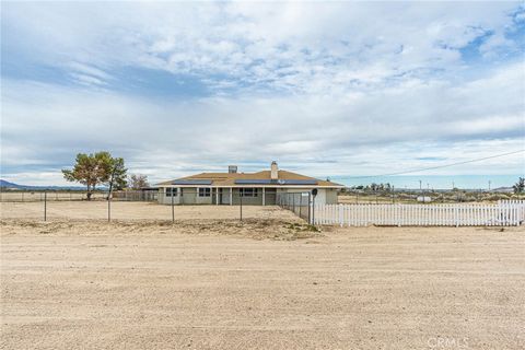 Photo of 46334 Alamosa Rd, Newberry Springs, CA 92365 (MLS # HD26028596)