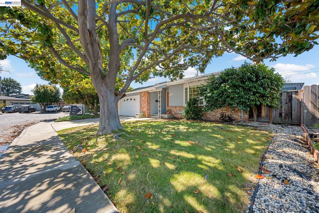 35843 Salvador Ct