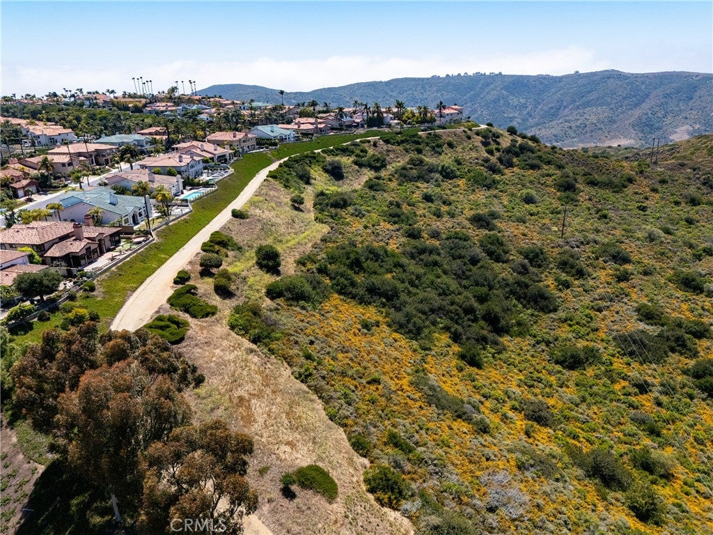 29412 Christiana Way, Laguna Niguel CA 92677 - Photo 28