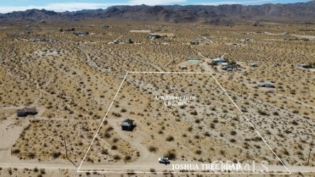 0 Joshua Tree