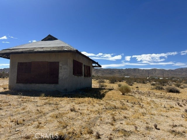 0 Joshua Tree