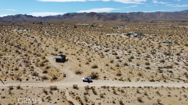 0 Joshua Tree