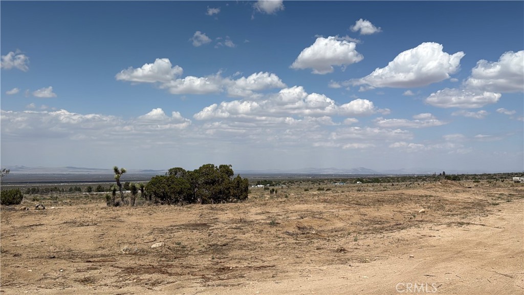Incredible Investment Opportunity with 80 Acres of Prime Land!
This is your chance to own a rare piece of Los Angeles County with endless potential for agricultural use, ranch living, or building the custom home of your dreams. This expansive property is ideal for equestrian lovers, farmers, or anyone seeking wide-open space to roam. Bring your horses, livestock, or even start your own vineyard or orchard! It's PERFECT for those looking to escape the city without sacrificing long-term investment value. There are remarkable Joshua Trees throughout the property and 360 degrees of natural beauty. Whether you're looking to build your forever home or create a multi-generational retreat, this land has the potential to be in YOUR family for generations.
Go direct—no need to wait. Opportunities like this don't come around often. Secure this legacy property today. Latitude: 34.460328 Longitude: -117.725706