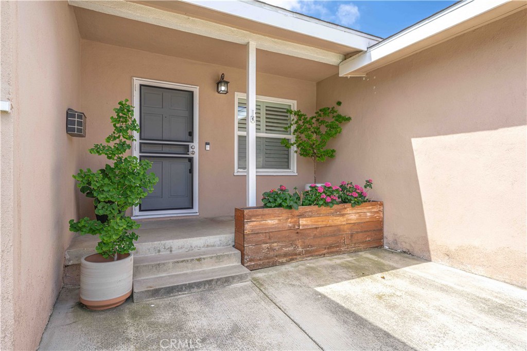 6442 Walt Street