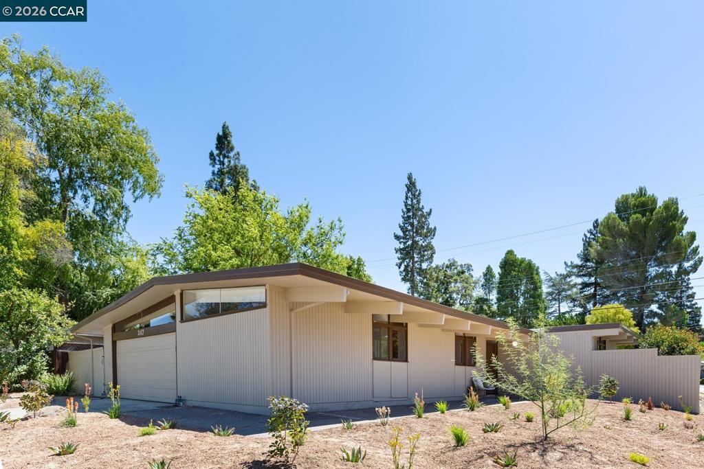 247 Los Cerros Ave
