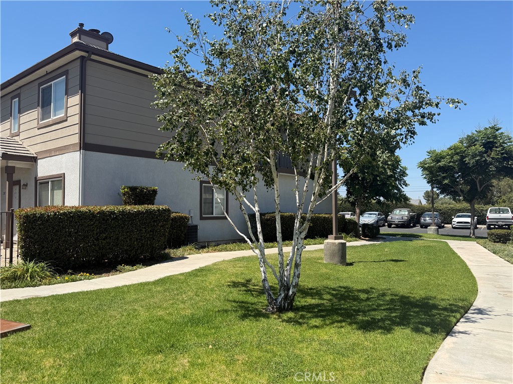1555 Orange Avenue 1203