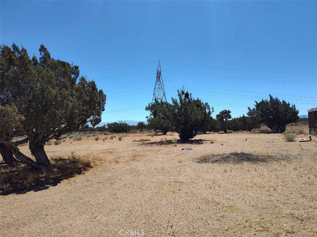 8729 Aster Road