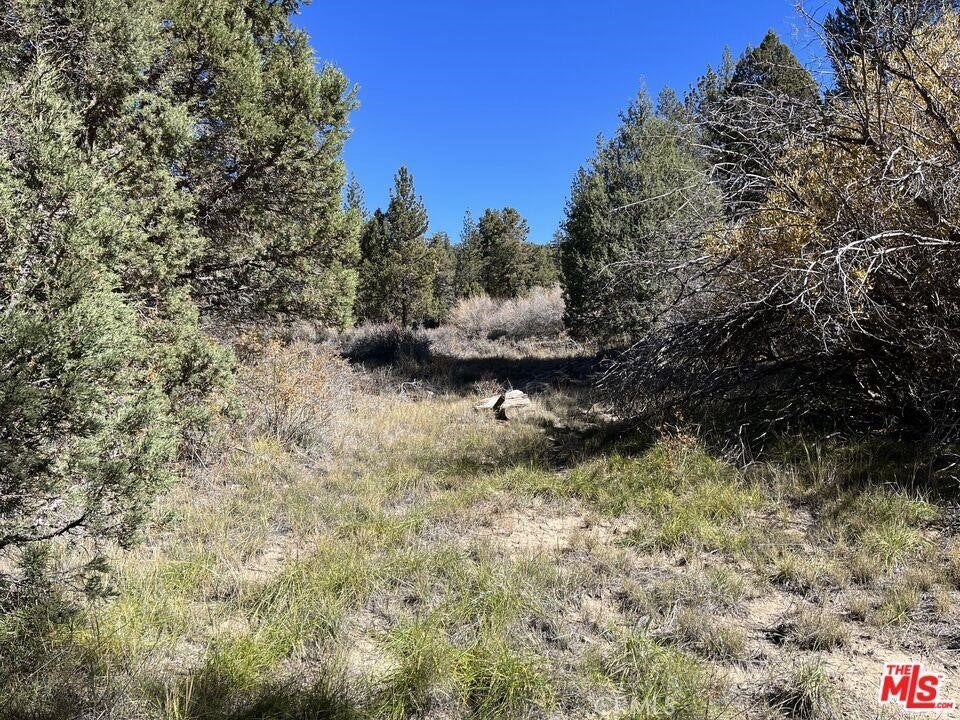 0 Highway 38