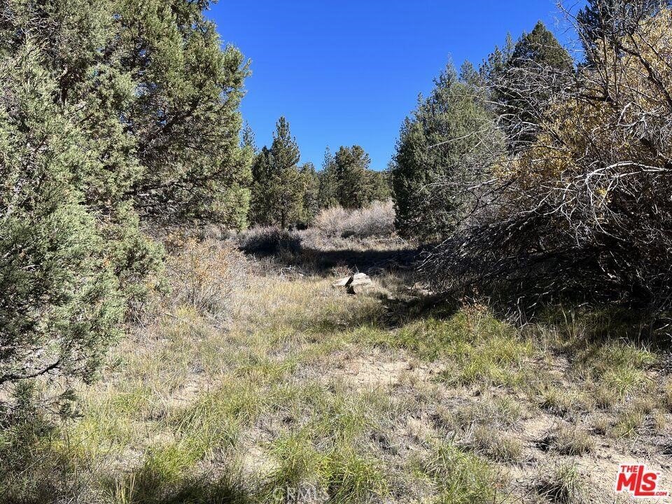 0 Highway 38