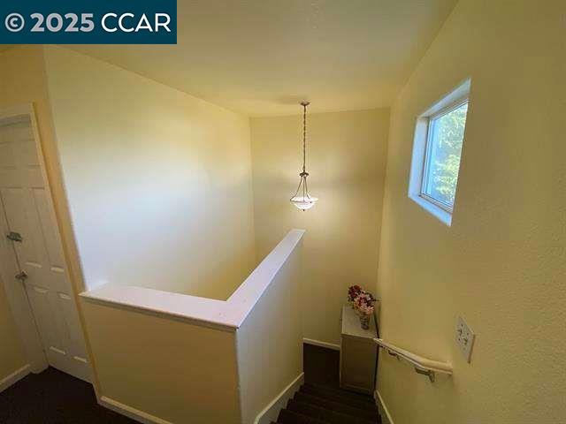 OLD TOWN RODEO - Residential