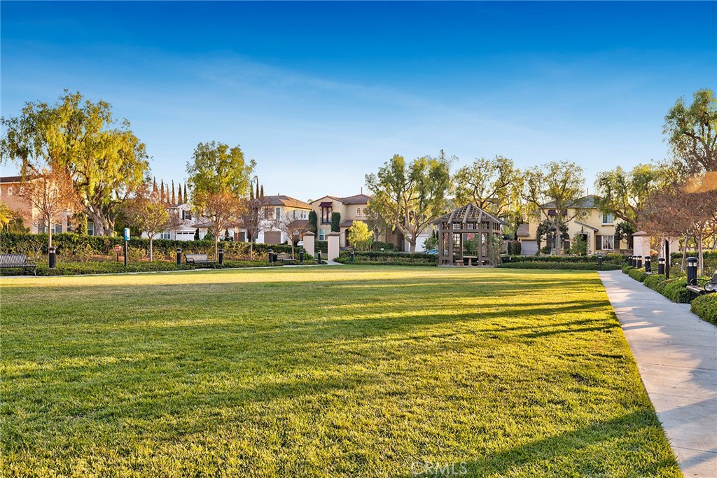 25 Carpenteria