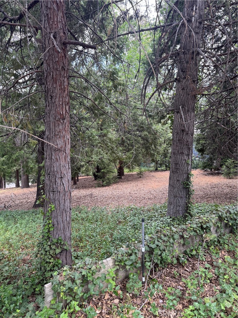 Arrowhead Woods (AWHW) - Land