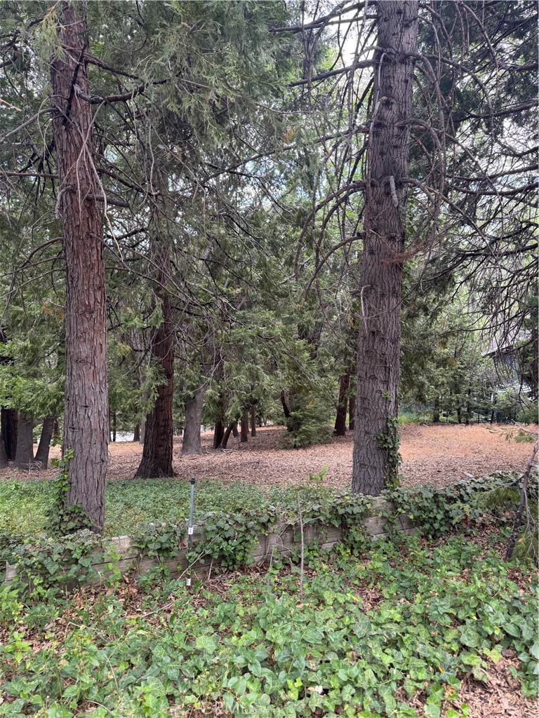 Don’t miss this beautiful, gently downsloping lot with lake rights, ideally situated on a quiet private access road. Enter the drive just to the right of 163 Cumberland Dr—the lot is at the end on the left-hand side, directly next to 107 Cumberland Dr. This spacious, tree-lined property offers a peaceful setting with mature foliage, perfect for building your dream retreat.
Bonus: The current owners have conceptual build plans/mockups available, originally designed for this site—providing a head start on your future home.