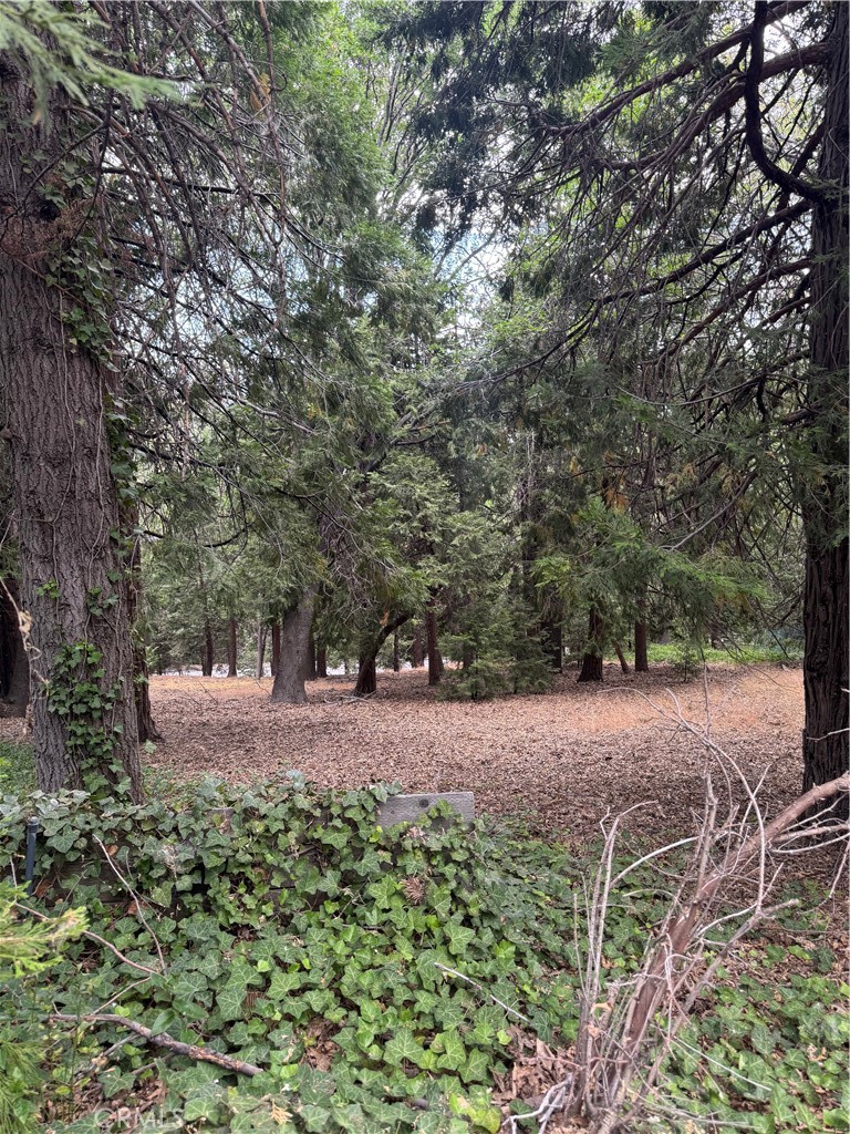 Arrowhead Woods (AWHW) - Land