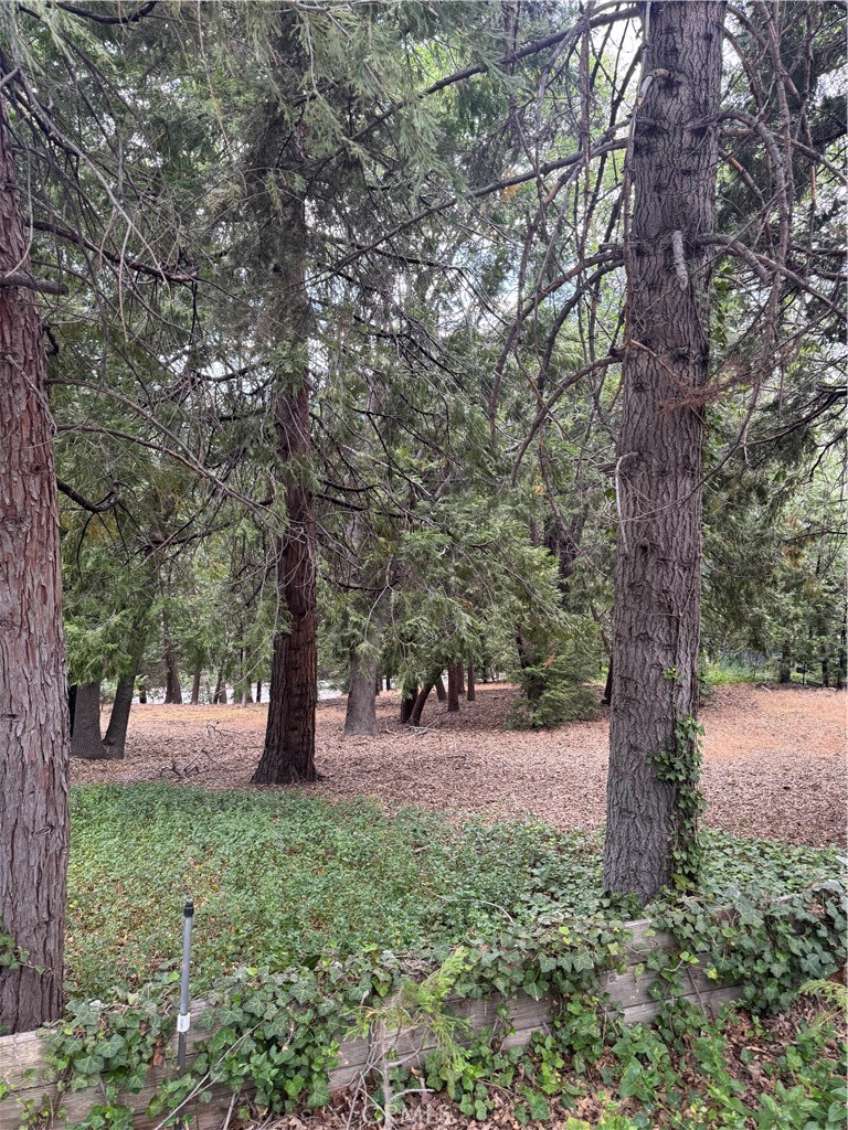 Arrowhead Woods (AWHW) - Land