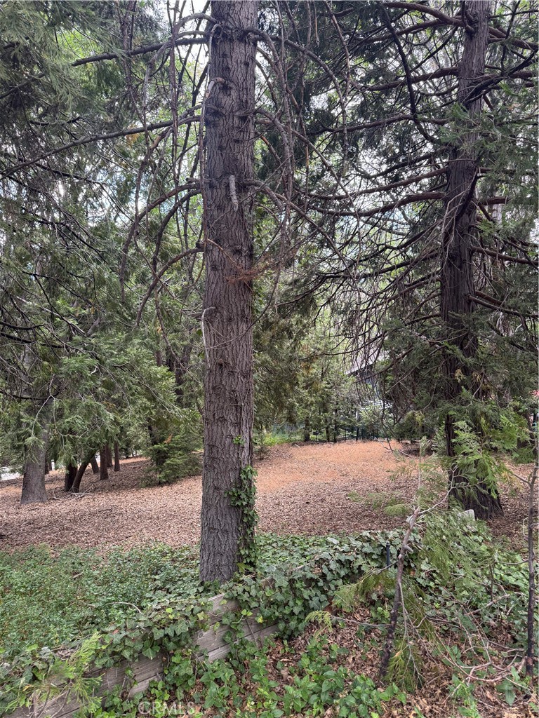 Arrowhead Woods (AWHW) - Land