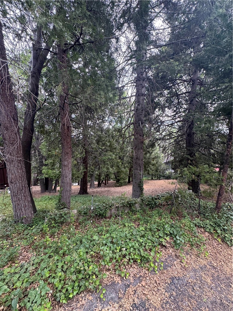 Arrowhead Woods (AWHW) - Land