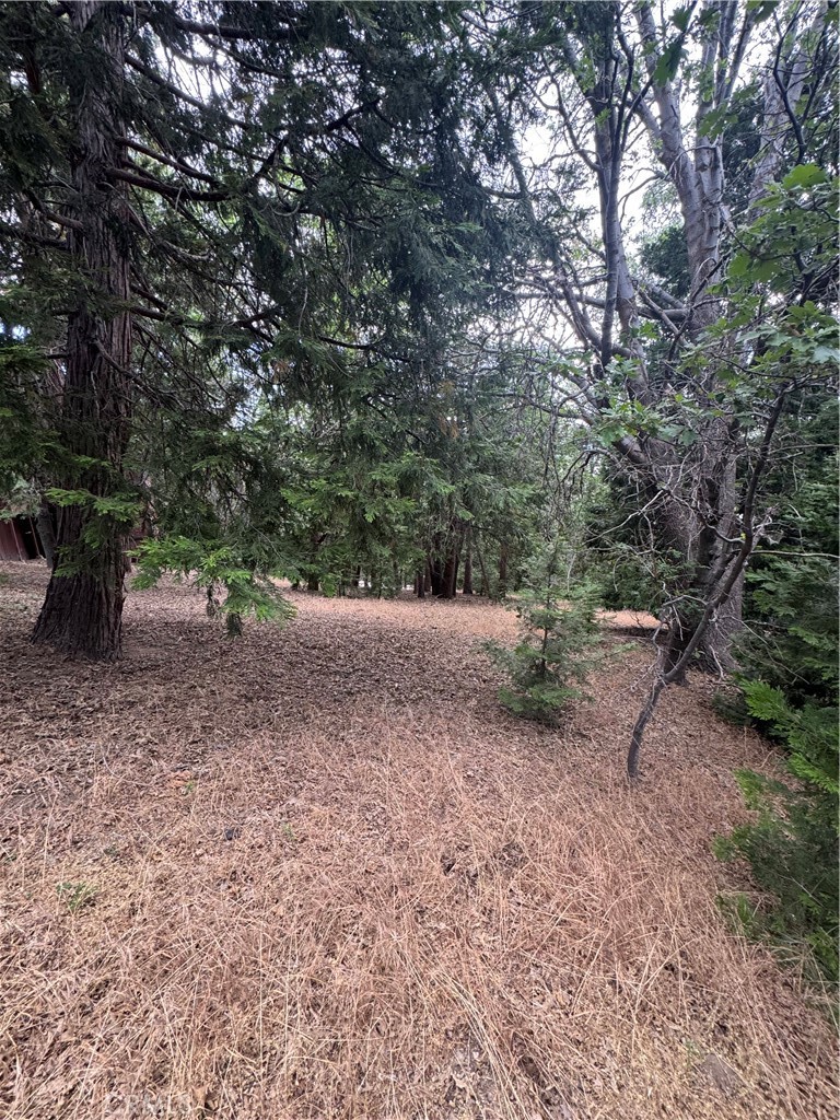 Arrowhead Woods (AWHW) - Land