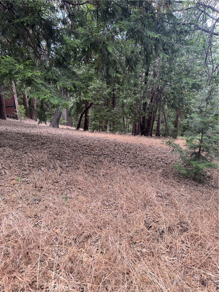 Arrowhead Woods (AWHW) - Land