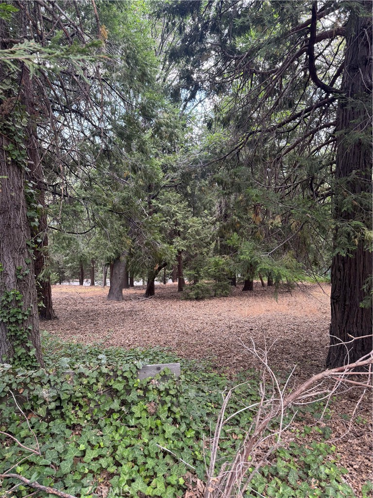 Arrowhead Woods (AWHW) - Land