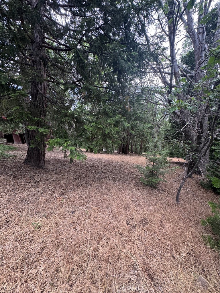 Arrowhead Woods (AWHW) - Land