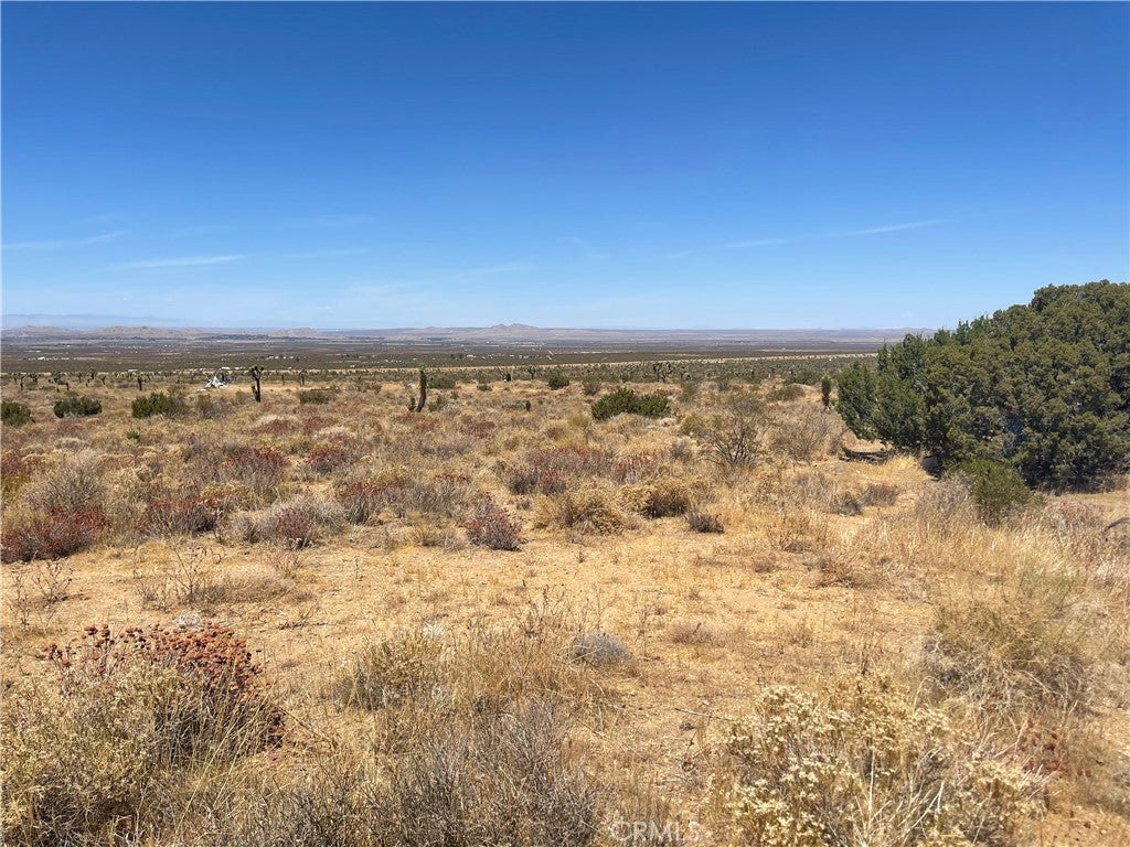 0 Vac Fort Tejon Drt Vic