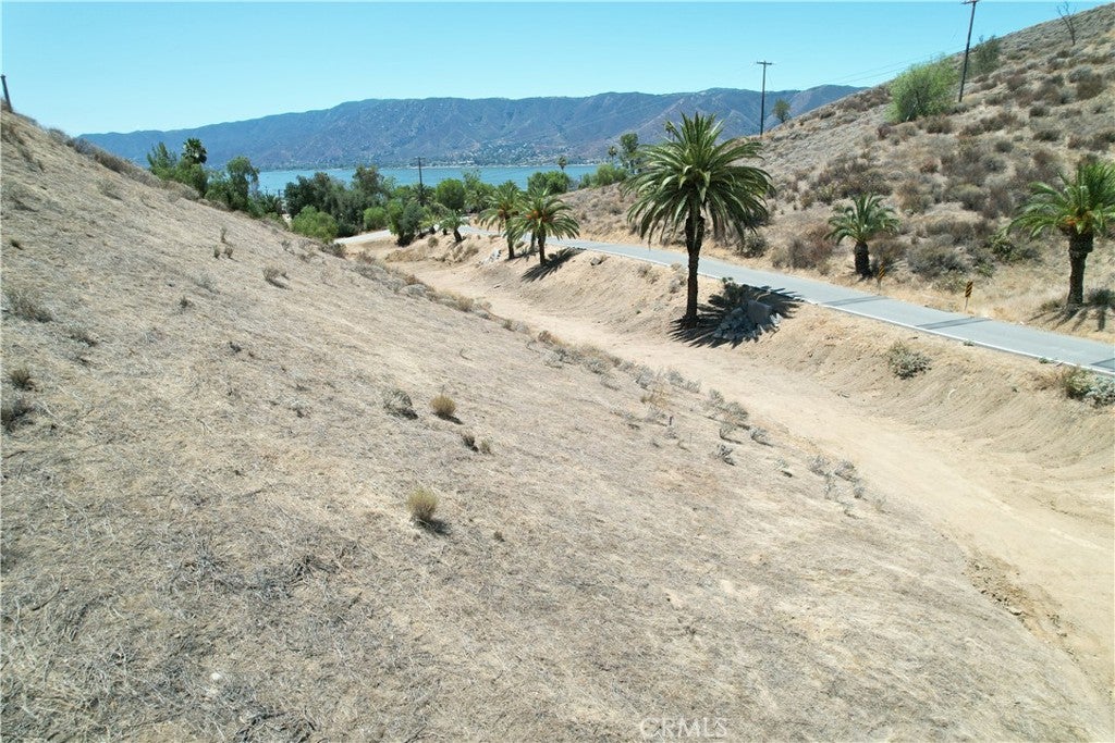 1 Palm Drive